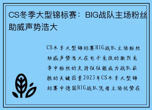 CS冬季大型锦标赛：BIG战队主场粉丝助威声势浩大