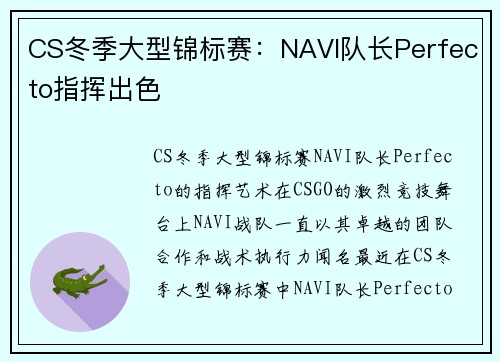CS冬季大型锦标赛：NAVI队长Perfecto指挥出色